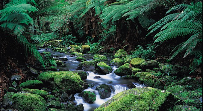 Image courtesy of Tourism Victoria