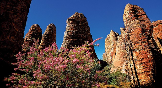 Image courtesy of Tourism NT