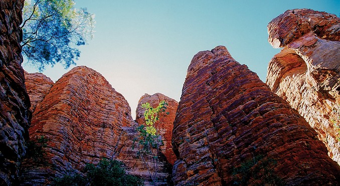 Image courtesy of Tourism NT