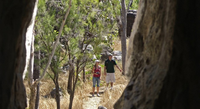 Image courtesy of Tourism NT