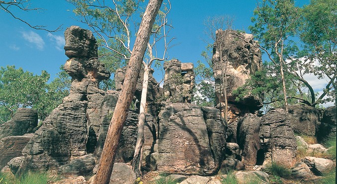 Image courtesy of Tourism NT