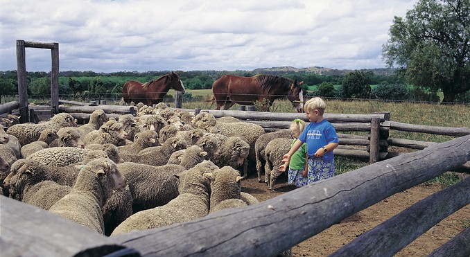 Image courtesy of Tourism New South Wales