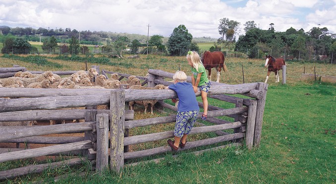 Image courtesy of Tourism New South Wales