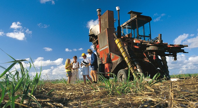 Image courtesy of Tourism Queensland