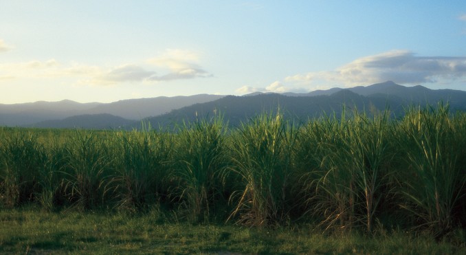 Image courtesy of Tourism Queensland