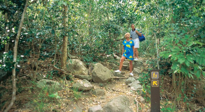 Image courtesy of Tourism Queensland