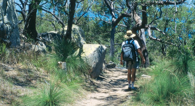 Image courtesy of Tourism Queensland