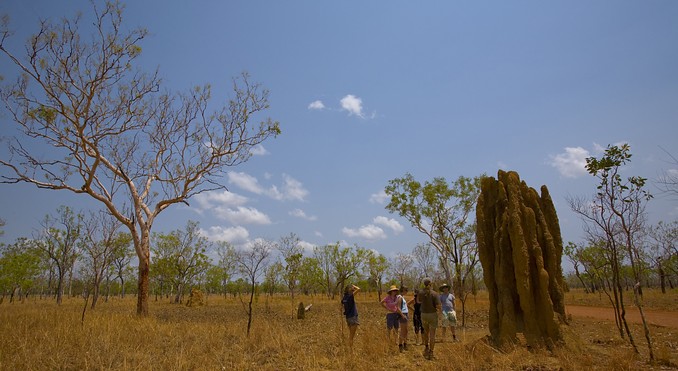 Image courtesy of Tourism NT