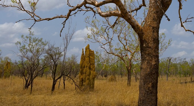 Image courtesy of Tourism NT