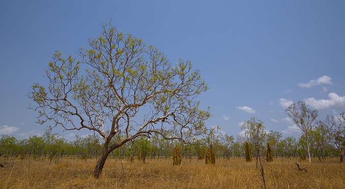 Image courtesy of Tourism NT
