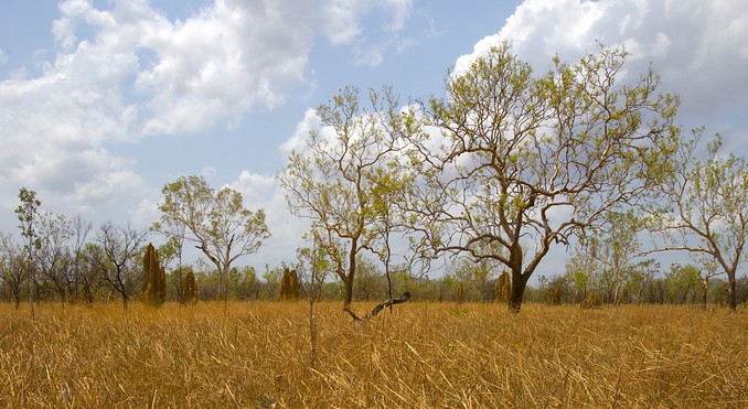 Image courtesy of Tourism NT