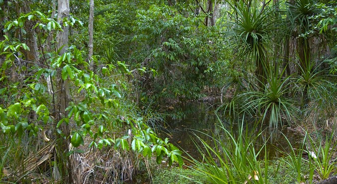 Image courtesy of Tourism NT