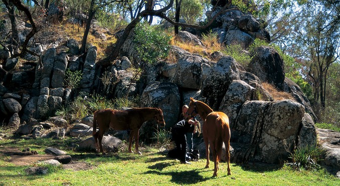 Image courtesy of Tourism Queensland