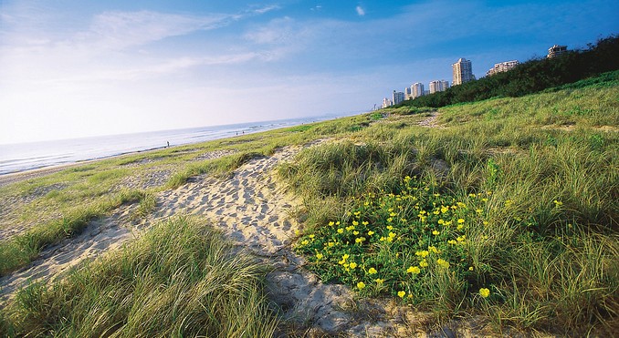Main Beach