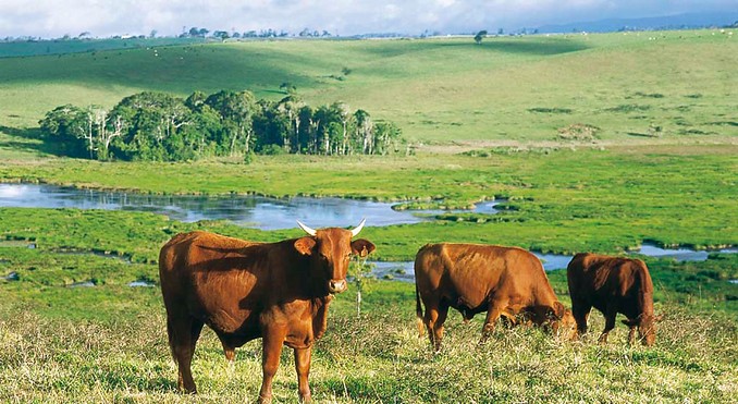 Image courtesy of Tourism Queensland