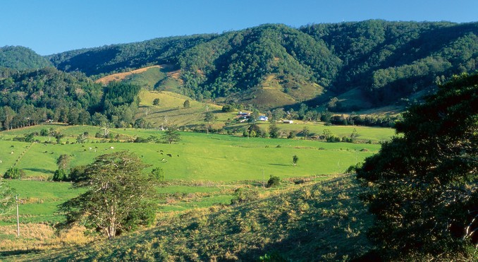 Image courtesy of Tourism Queensland