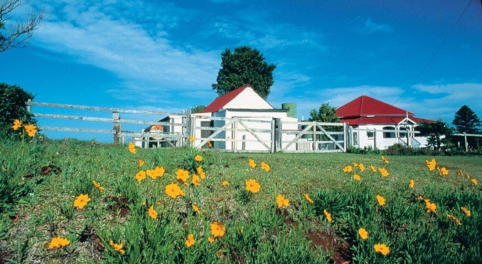 Image courtesy of Tourism Queensland
