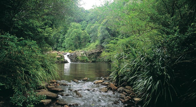 Image courtesy of Tourism Queensland