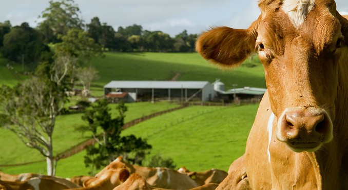Image courtesy of Tourism Queensland
