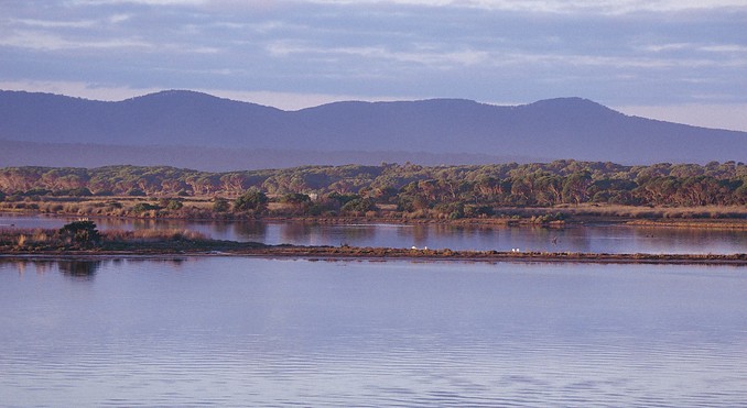 Image courtesy of Tourism Victoria