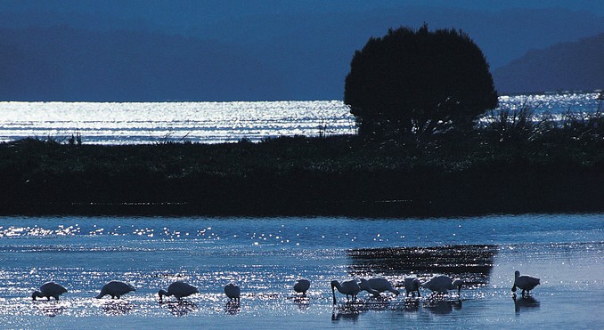 Image courtesy of Tourism Victoria