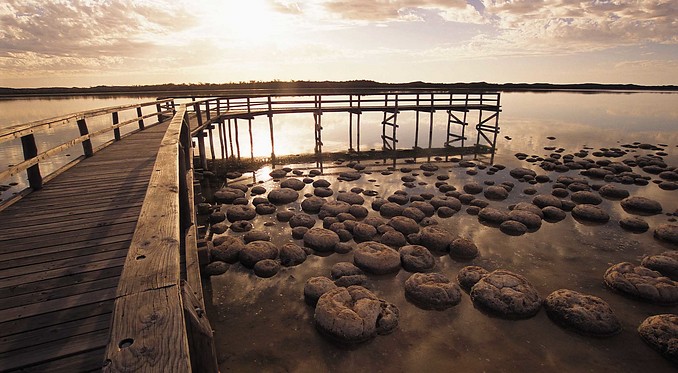 Mandurah