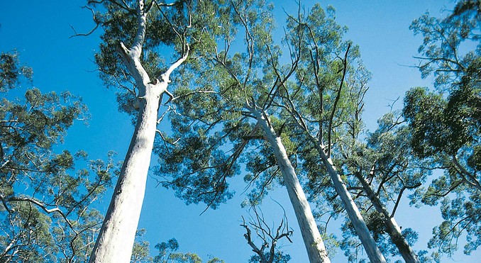 Image courtesy of Western Australia