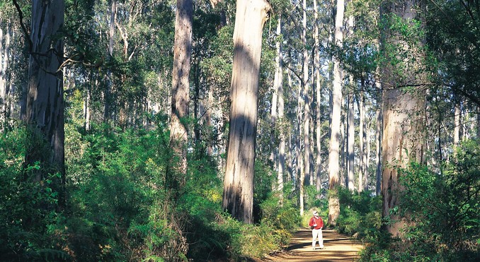 Image courtesy of Western Australia