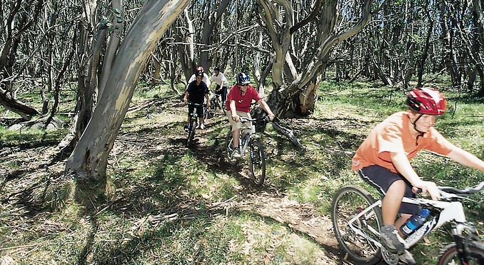 Image courtesy of Tourism Victoria