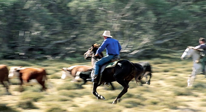 Image courtesy of Tourism Victoria