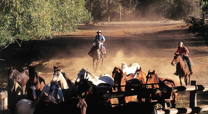 Image courtesy of Tourism Victoria