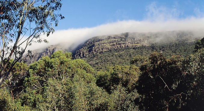 Image courtesy of Tourism Victoria