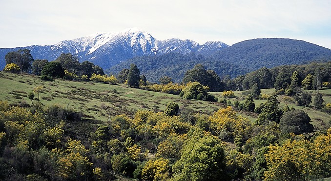 Image courtesy of Tourism Victoria