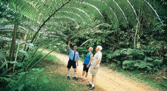 Image courtesy of Tourism Queensland