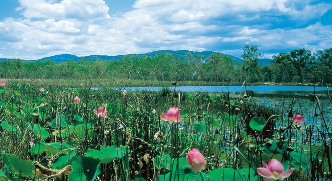 Image courtesy of Tourism Queensland