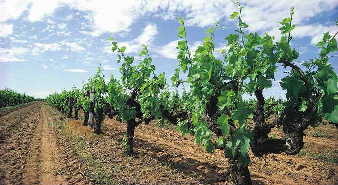 Image courtesy of Western Australia