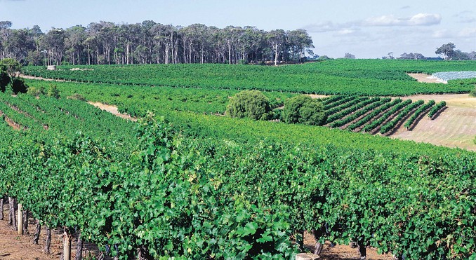 Image courtesy of Western Australia