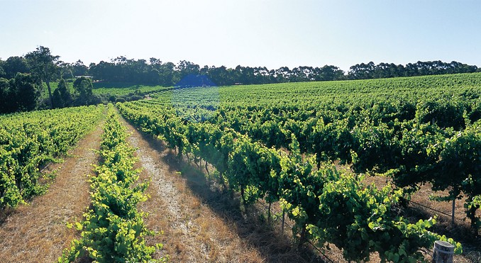 Image courtesy of Western Australia