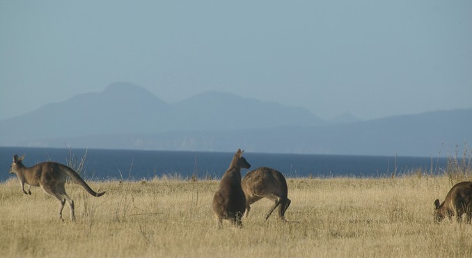 Tourism Tasmania and Rick Eaves
