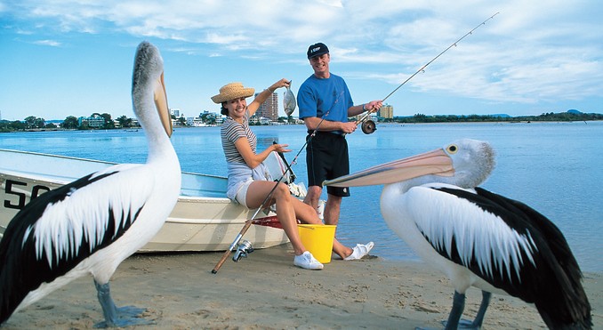 Image courtesy of Tourism Queensland