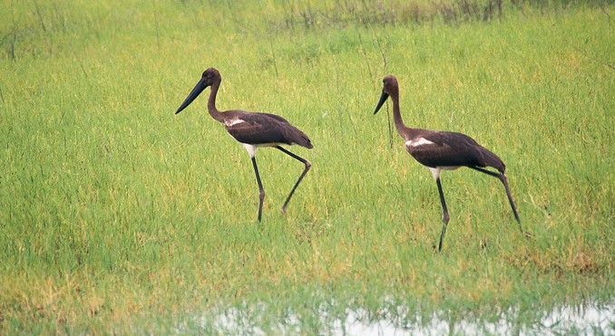 Image courtesy of Tourism NT