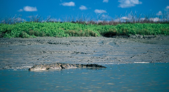 Image courtesy of Tourism NT