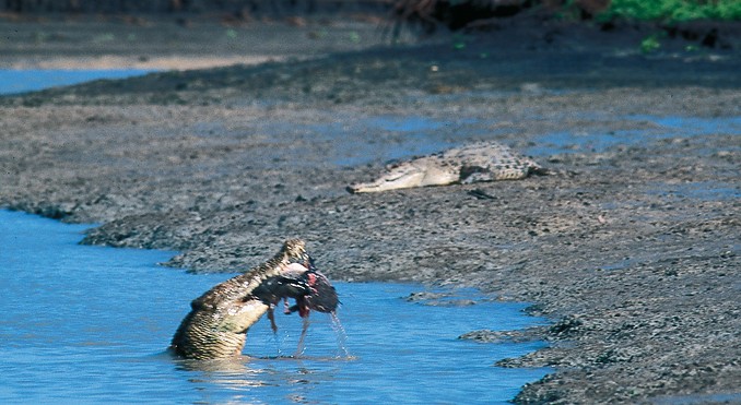 Image courtesy of Tourism NT
