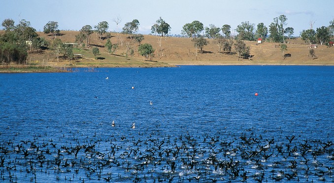 Image courtesy of Tourism Queensland