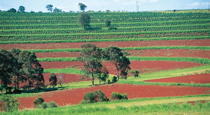 Image courtesy of Tourism Queensland
