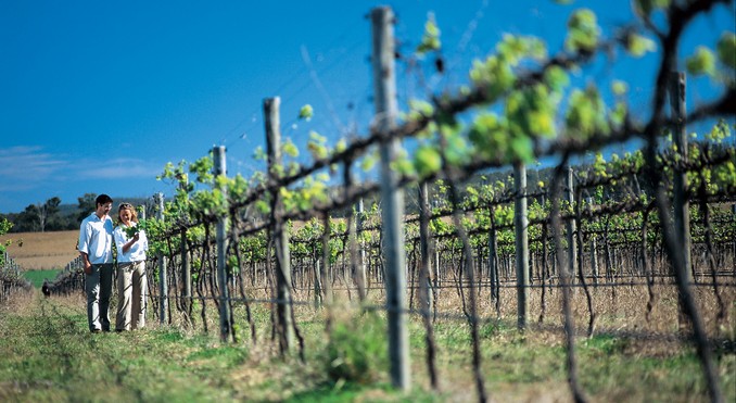 Image courtesy of Tourism Queensland