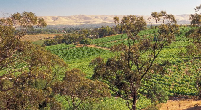 Image courtesy of South Australia