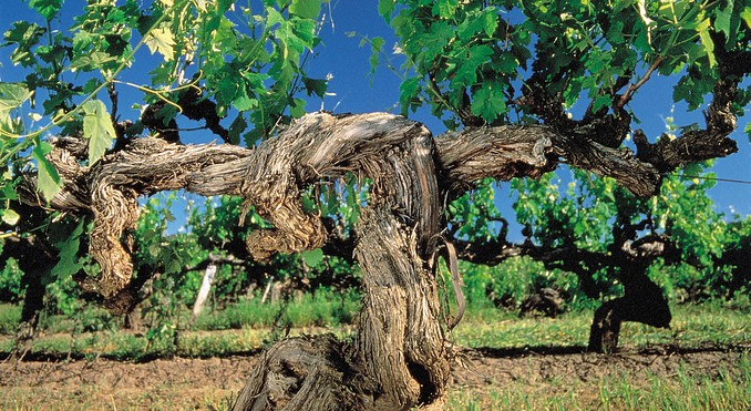 Image courtesy of South Australia
