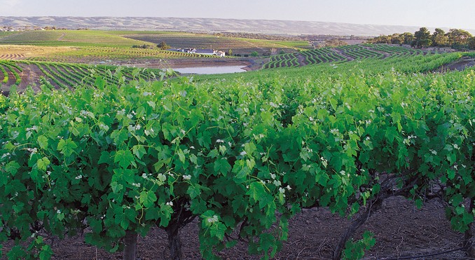 Image courtesy of South Australia