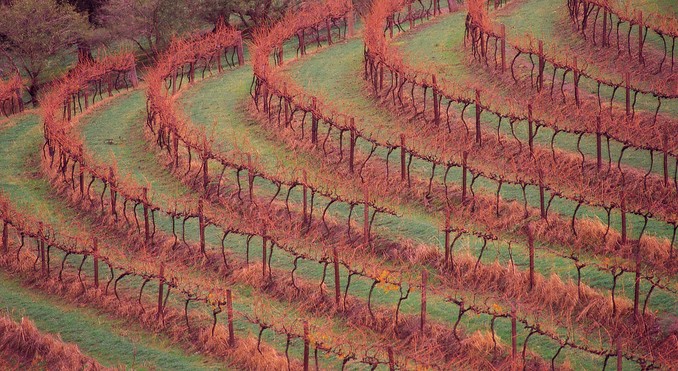 Image courtesy of South Australia